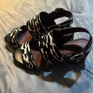 Aerosoles Camera Zebra Haircalf Women's Sandals